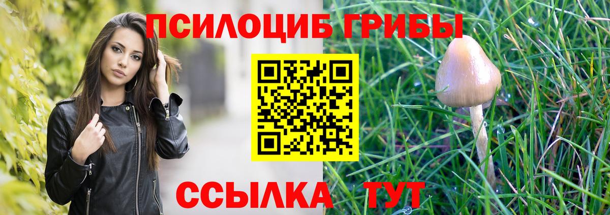 Галлюциногенные грибы MAGIC MUSHROOMS Михайловск